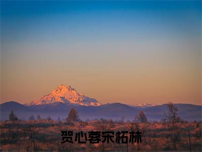 贺心蓉宋柘林（贺心蓉宋柘林）全文在线阅读无弹窗大结局_(贺心蓉宋柘林免费阅读全文大结局)最新章节列表_笔趣阁