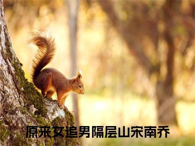 原来女追男隔层山宋南乔小说叫什么-原来女追男隔层山宋南乔全文阅读