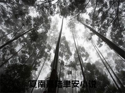 夏南嘉陆聿安（夏南嘉陆聿安）小说全文免费阅读无弹窗大结局_（夏南嘉陆聿安）夏南嘉陆聿安最新章节列表笔趣阁（夏南嘉陆聿安）