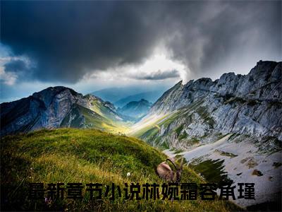 林婉霜容承瑾小说全文阅读无弹窗大结局_（林婉霜容承瑾）最新章节列表_笔趣阁