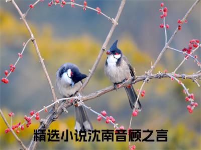 沈南音顾之言阅读无弹窗大结局_（沈南音顾之言阅读无弹窗）最新章节列表_笔趣阁（沈南音顾之言）