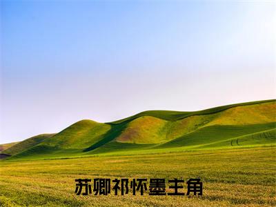 苏卿祁怀墨全文免费阅读-（苏卿祁怀墨）小说全文免费阅读正版无弹窗