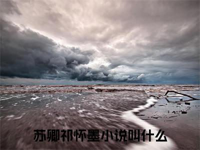 苏卿祁怀墨（苏卿祁怀墨）全文免费阅读无弹窗_苏卿祁怀墨小说在线阅读_笔趣阁