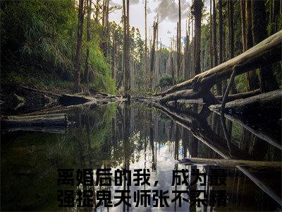 离婚后的我，成为最强捉鬼天师张不染小说（离婚后的我，成为最强捉鬼天师张不染）全文免费阅读无弹窗-离婚后的我，成为最强捉鬼天师张不染最新章节列表-笔趣阁
