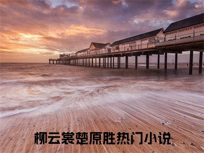 傻王别装了丑妃靠美色称霸京城了（柳云裳楚原胜）最新章节在线阅读抖音新书热荐柳云裳楚原胜