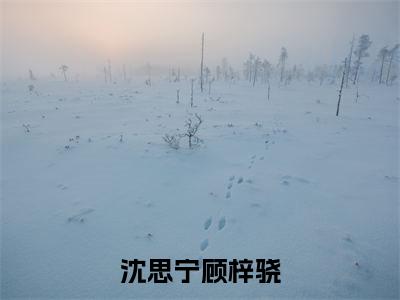 沈思宁顾梓骁阅读无弹窗大结局_（沈思宁顾梓骁阅读无弹窗）最新章节列表_笔趣阁（沈思宁顾梓骁）