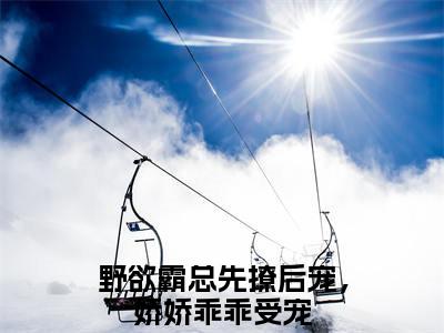 野欲霸总先撩后宠，娇娇乖乖受宠（霍铭宬顾瑶苒）全文免费阅读大结局_霍铭宬顾瑶苒免费在线阅读无删减