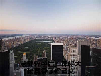 意外怀孕后，神秘大佬真香了高赞小说（棠宁陆司城）完结阅读_棠宁陆司城免费看全文
