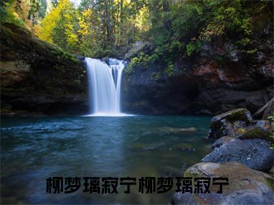（柳梦璃寂宁）全文免费阅读无弹窗大结局-柳梦璃寂宁全文阅读无弹窗