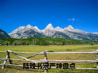 陆晚书宋严坤完整版（陆晚书宋严坤小说）全文免费阅读无弹窗大结局_陆晚书宋严坤最新章节