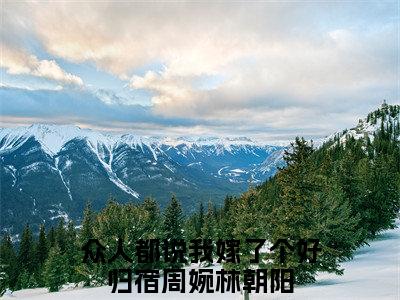 众人都说我嫁了个好归宿全文全文免费阅读_周婉林朝阳全文最新章节列表笔趣阁（众人都说我嫁了个好归宿）