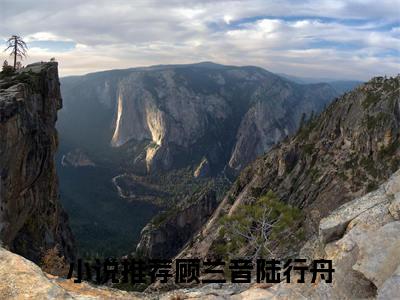 顾兰音陆行舟小说全文（顾兰音陆行舟）全文免费阅读无弹窗大结局-（顾兰音陆行舟）无弹窗免费阅读大结局