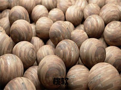 桃软陈矜（桃软）全文小说免费阅读_（桃软）桃软陈矜最新章节列表