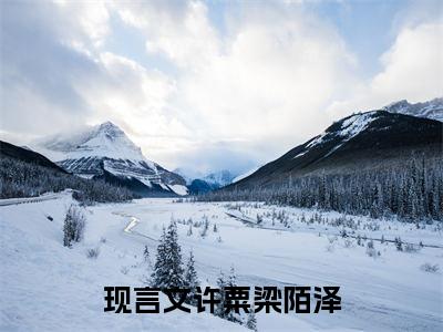许粟梁陌泽小说全文免费阅读无弹窗大结局-许粟梁陌泽小说在哪里可以看