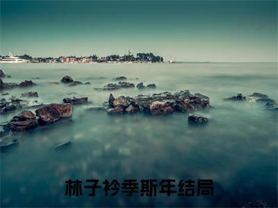 林子衿季斯年（林子衿季斯年）全文免费阅读无弹窗大结局_林子衿季斯年最新章节列表笔趣阁