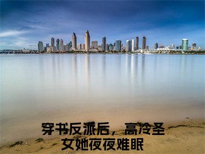 穿书反派后，高冷圣女她夜夜难眠全文免费阅读_穿书反派后，高冷圣女她夜夜难眠（叶羽）最新章节列表笔趣阁