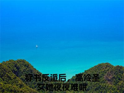 穿书反派后，高冷圣女她夜夜难眠（叶羽）全文免费阅读无弹窗大结局_穿书反派后，高冷圣女她夜夜难眠说免费阅读最新章节列表
