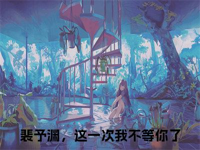 裴予渊，这一次我不等你了小说在线阅读-主角叫裴予渊林向瑜的小说（裴予渊，这一次我不等你了）完整版免费阅读全文
