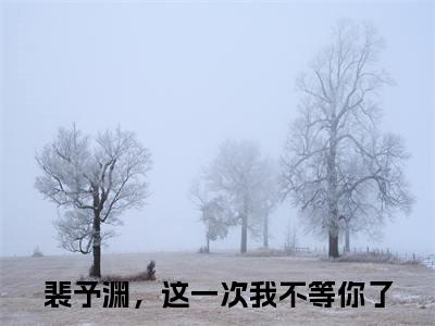 裴予渊，这一次我不等你了全文免费在线阅读_（顾南沅顾淮烨全文免费阅读无弹窗大结局）裴予渊，这一次我不等你了最新章节列表_笔趣阁