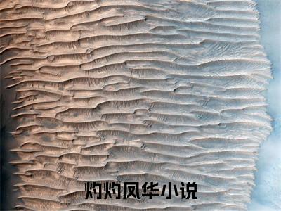 夏星微顾长卿全文免费阅读无弹窗大结局_（夏星微顾长卿）灼灼凤华最新章节列表_笔趣阁