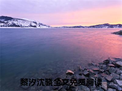 黎汐沈骁小说全文无删减版在线阅读_（黎汐沈骁）小说全文免费阅读_黎汐沈骁最新章节列表_笔趣阁