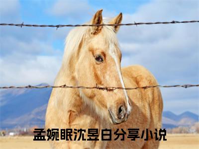 孟婉眠沈昱白小说大结局免费阅读，孟婉眠沈昱白抖音新上热文分享