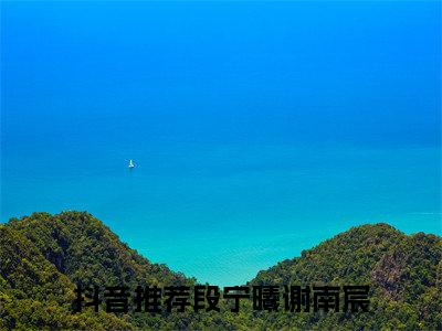 高赞小说（段宁曦谢南宸小说免费阅读）完结阅读_段宁曦谢南宸全文免费阅读最新章节大结局