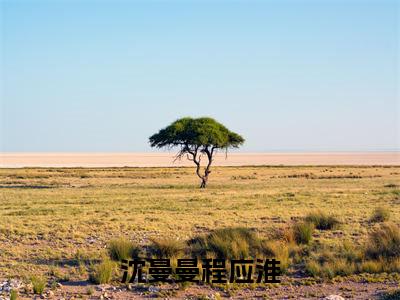 沈曼曼程应淮独家小说（沈曼曼程应淮）-（沈曼曼程应淮）无删版小说推荐