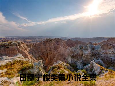 田穗宁楼奕景小说（田穗宁楼奕景）全文免费阅读无弹窗大结局_（田穗宁楼奕景免费阅读）田穗宁楼奕景最新章节列表_笔趣阁（田穗宁楼奕景）
