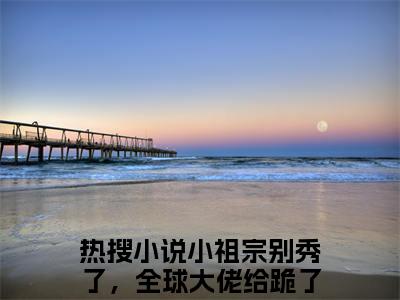 小祖宗别秀了，全球大佬给跪了秦念念小说大结局免费阅读-完结版小祖宗别秀了，全球大佬给跪了秦念念小说免费阅读