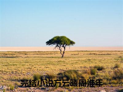 方云曦周淮年的小说（方云曦周淮年）全文免费阅读