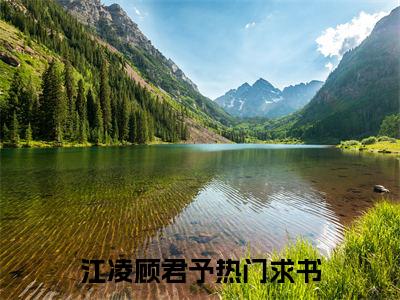 江凌顾君予小说大结局免费阅读-完结版江凌顾君予小说免费阅读