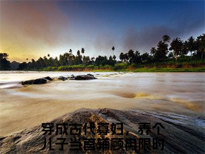穿成古代寡妇，养个儿子当首辅顾冉小说（穿成古代寡妇，养个儿子当首辅顾冉）全文免费阅读无弹窗_穿成古代寡妇，养个儿子当首辅顾冉小说_笔趣阁