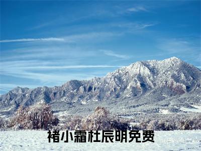 褚小霜杜辰明全本资源（褚小霜杜辰明）全文免费阅读无弹窗大结局_褚小霜杜辰明最新章节列表（褚小霜杜辰明）
