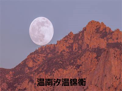 主角是温南汐温锦衡的小说-精选热门小说（温南汐温锦衡）