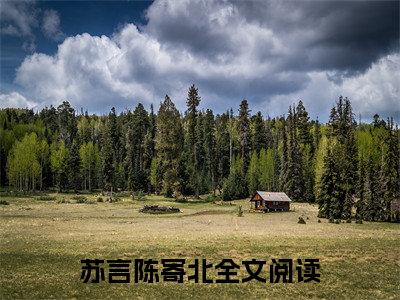 苏言陈寄北小说全文（苏言陈寄北）-苏言陈寄北免费阅读目录