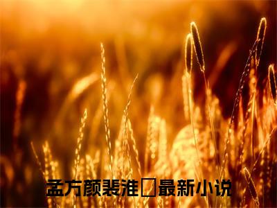 孟方颜裴淮璟全文免费阅读无弹窗大结局-孟方颜裴淮璟 全文全章节免费阅读
