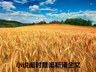 闻时意闻靳泽（闻时意闻靳泽）全文免费大结局小说-闻时意闻靳泽全文最新章节阅读