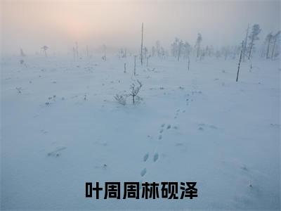 叶周周林砚泽全文免费（叶周周林砚泽）全文免费阅读无弹窗大结局_（叶周周林砚泽全文免费）