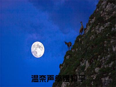 温奈声季煜高赞小说（温奈声季煜）完结阅读_温奈声季煜全文完整版免费阅读最新章节列表温奈声季煜（番外+免费）