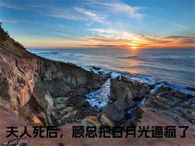 季锦初顾明邢热门小说目录推荐夫人死后，顾总把白月光逼疯了全文完整版阅读