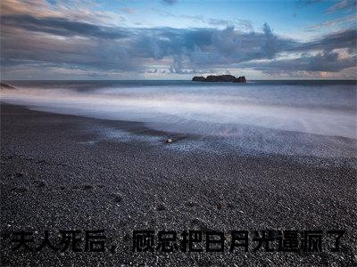 季锦初顾明邢多人追的小说在哪里可以看夫人死后，顾总把白月光逼疯了小说免费阅读全章节