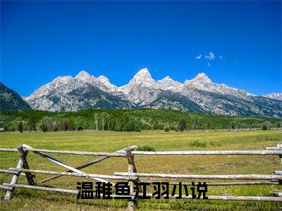 温稚鱼江羽小说全文免费阅读（温稚鱼江羽）全文免费阅读无弹窗大结局