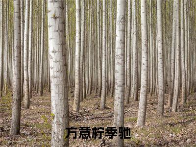 方意柠季驰小说（方意柠季驰）全文免费阅读_（方意柠季驰）方意柠季驰最新章节列表笔趣阁