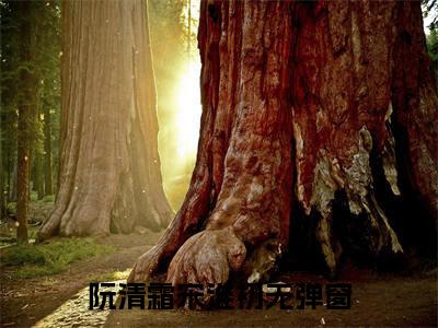 （阮清霜宋淮初）阮清霜宋淮初全文免费阅读无弹窗大结局_阮清霜宋淮初（阮清霜宋淮初）小说结局免费阅读