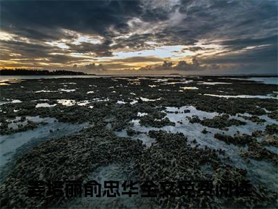 姜培丽俞忠华(姜培丽俞忠华)全文免费阅读无弹窗大结局_姜培丽俞忠华免费试读阅读全文无弹窗_