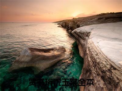 贺书珩沈玉棠（贺书珩沈玉棠）全文免费阅读无弹窗大结局_（贺书珩沈玉棠全文免费阅读无弹窗）贺书珩沈玉棠最新章节列表_笔趣阁（贺书珩沈玉棠）