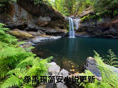 季禹琛简安小说全文无删减版 季禹琛简安在线阅读