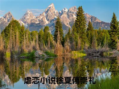 徐夏傅崇礼什么小说 徐夏傅崇礼全文免费阅读在线阅读