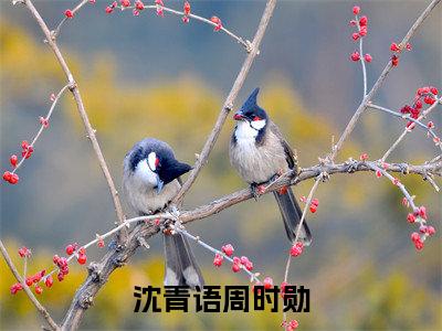 男女主人公沈青语周时勋小说沈青语周时勋全文免费阅读